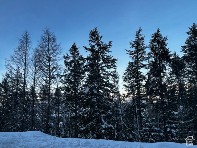 View of mountain background