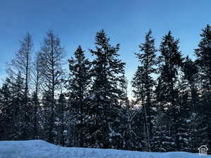 View of mountain background