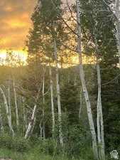 View of nature at dusk