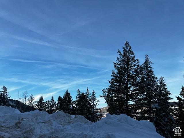 Mountain view