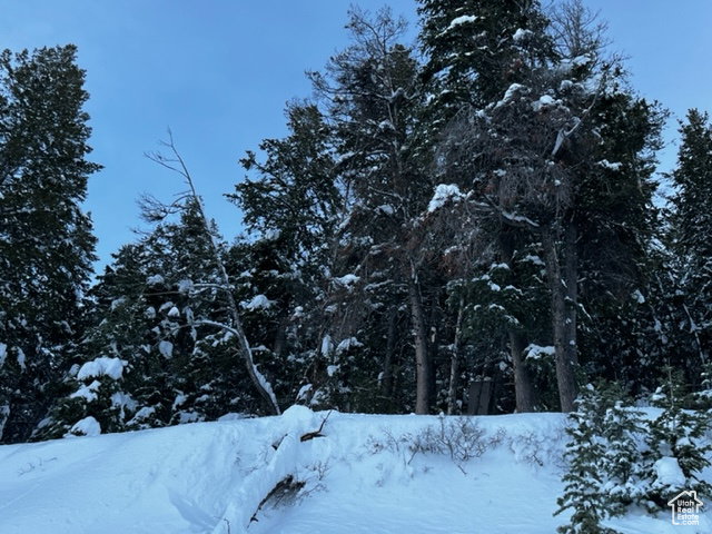 Snowy view