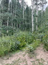View of undeveloped land