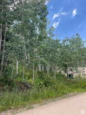 View of dirt / gravel road