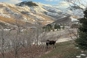 View of mountain background