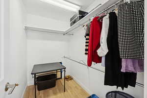 Spacious closet with light wood finished floors