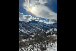 View of mountain background