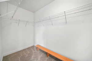 Walk in closet with carpet