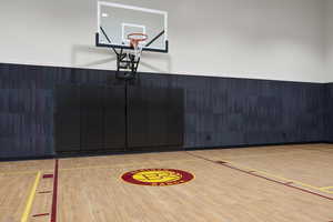 View of sport court with basketball court