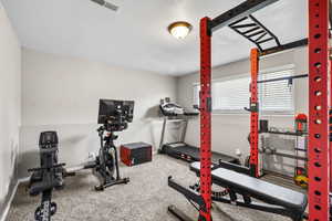 Exercise area featuring carpet