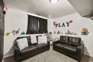 Living room featuring carpet flooring and a textured ceiling