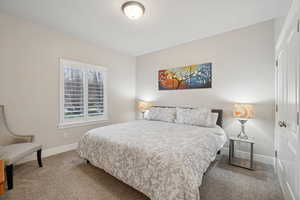 Carpeted bedroom featuring a closet