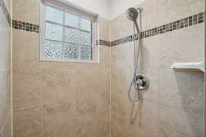 Bathroom view of a tile shower