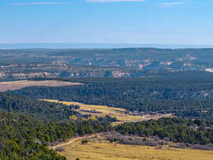 Drone / aerial view of a forest