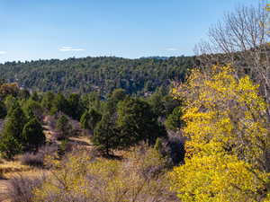 View of mountain backdrop featuring a heavily wooded area