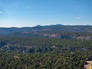 View of mountain backdrop featuring a forest