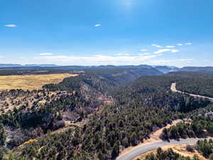 Bird's eye view of mountains and a heavily wooded area