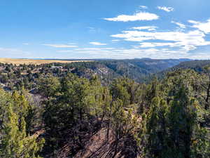 Mountain view with a forest