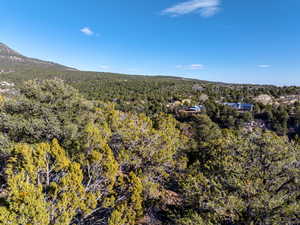 View of mountain backdrop featuring a heavily wooded area