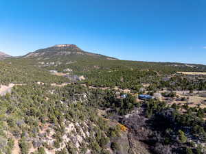 Mountain view featuring a forest