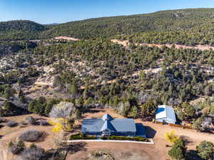 Aerial overview of property's location featuring a forest and a mountain backdrop