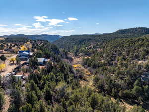 Aerial overview of property's location with mountains and a forest