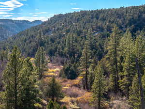 Mountain view featuring a heavily wooded area