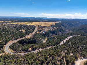 Bird's eye view of a mountainous background and a heavily wooded area