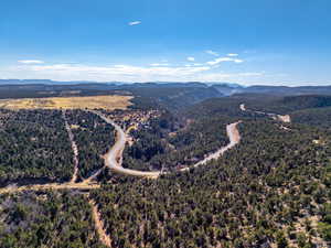 Aerial view of a heavily wooded area and mountains