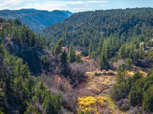 View of mountain background with a heavily wooded area