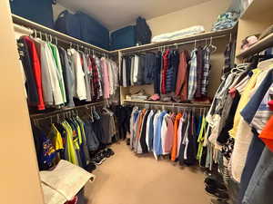 Spacious closet with carpet flooring