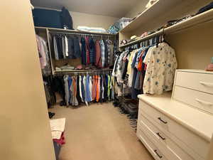 Spacious closet featuring light colored carpet