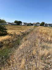 View of yard featuring a residential view