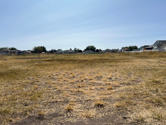 View of local wilderness featuring rural landscape and nearby suburban area