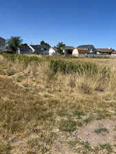 View of yard with a residential view