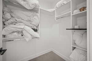 Walk in closet featuring carpet