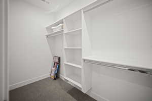 Spacious closet with dark carpet