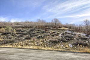 View of local wilderness