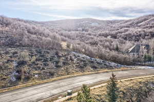 View of mountain background featuring a forest