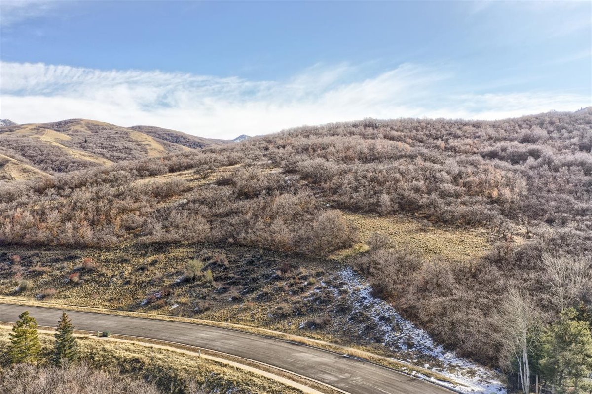 View of mountain background