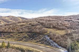 View of mountain background