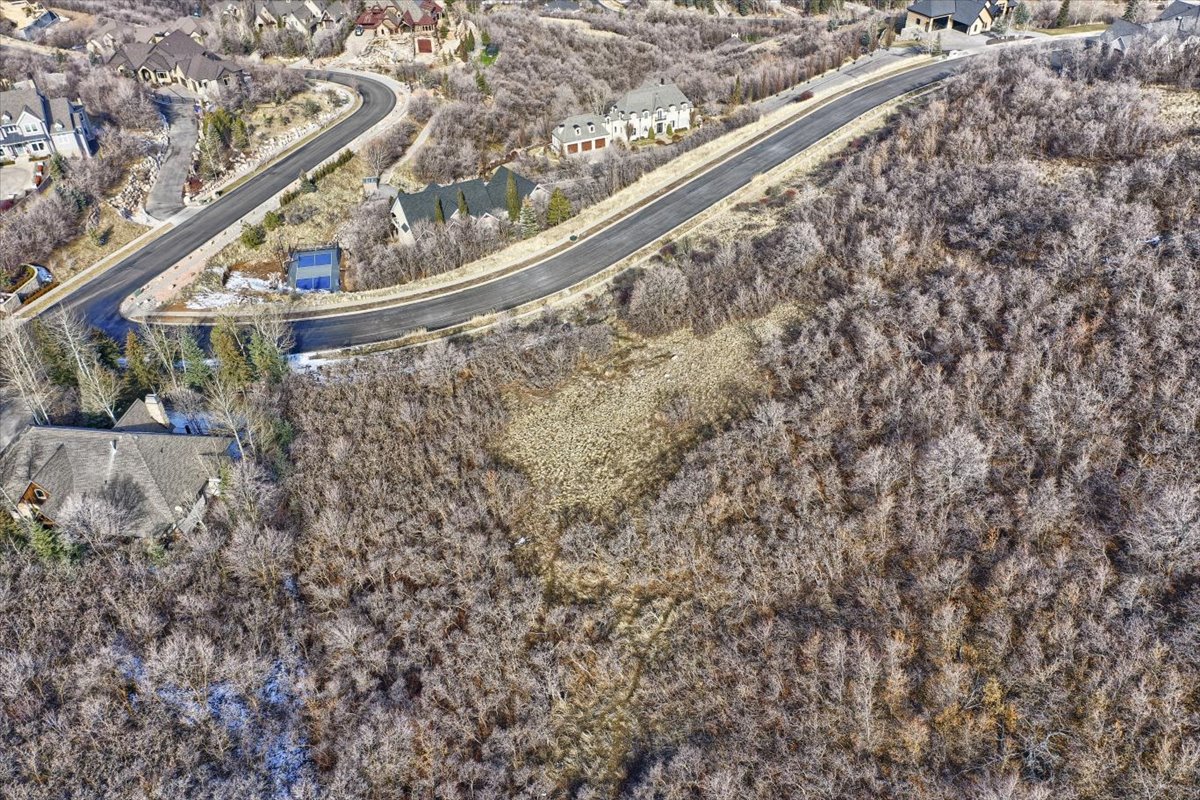 Aerial view of property's location