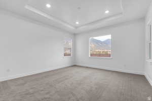 Unfurnished room featuring light colored carpet, recessed lighting, and a tray ceiling