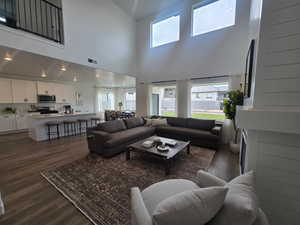 Living room featuring dark wood-style flooring and a towering ceiling