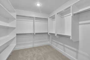 Walk in closet featuring light colored carpet