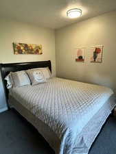 Bedroom featuring carpet and a textured ceiling