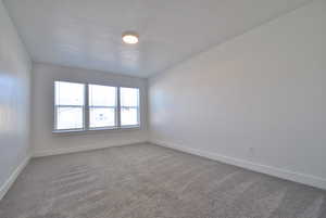 Primary Bedroom featuring carpet floors and baseboards