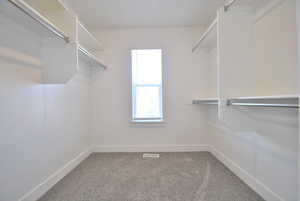 Primary Bedroom Walk in closet with light colored carpet