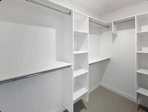Spacious closet featuring carpet floors