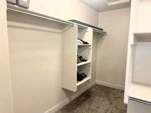 Spacious closet featuring dark colored carpet