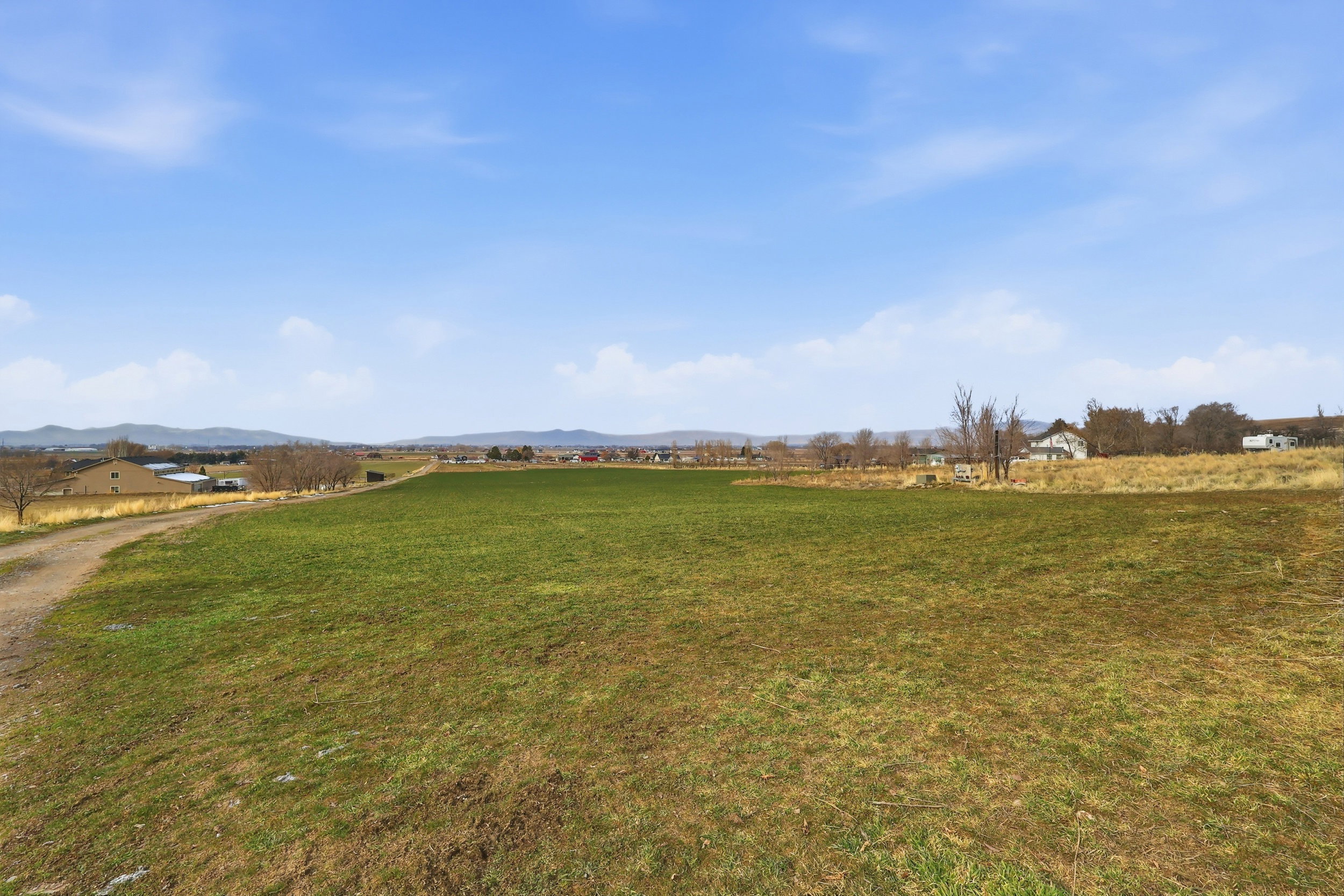 View of farm ground currently in wheat, 4 shares of canal water
